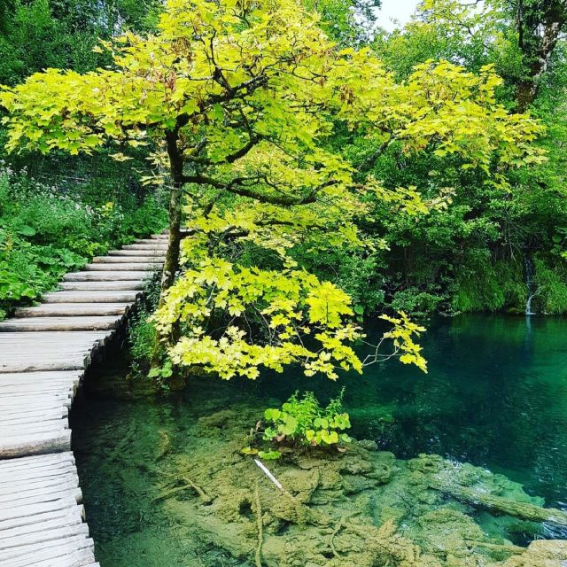 Plitvice Lakes National Park: Walking, Boat, and Train Tour - Important Information