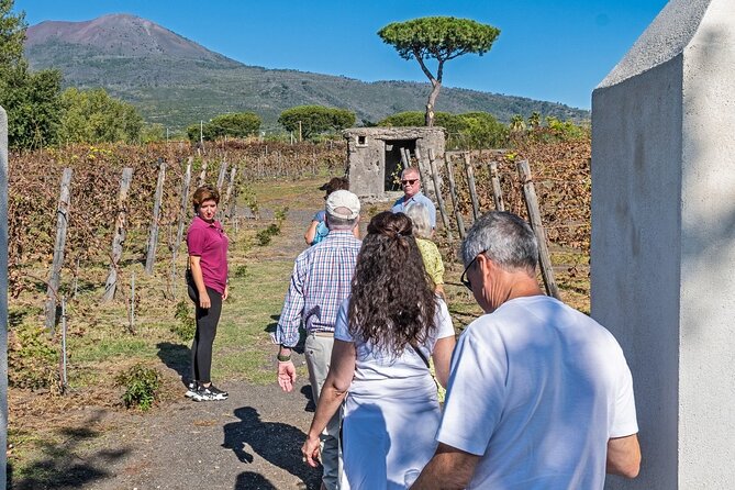 Pompeii Vesuvius Day Tour From Naples With Italian Lunch and Wine - Hike Up Mount Vesuvius