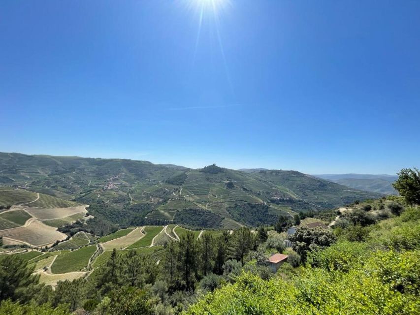 Porto: Douro Valley Private Tour 2 Vineyards & River Cruise - Douro River Boat Cruise