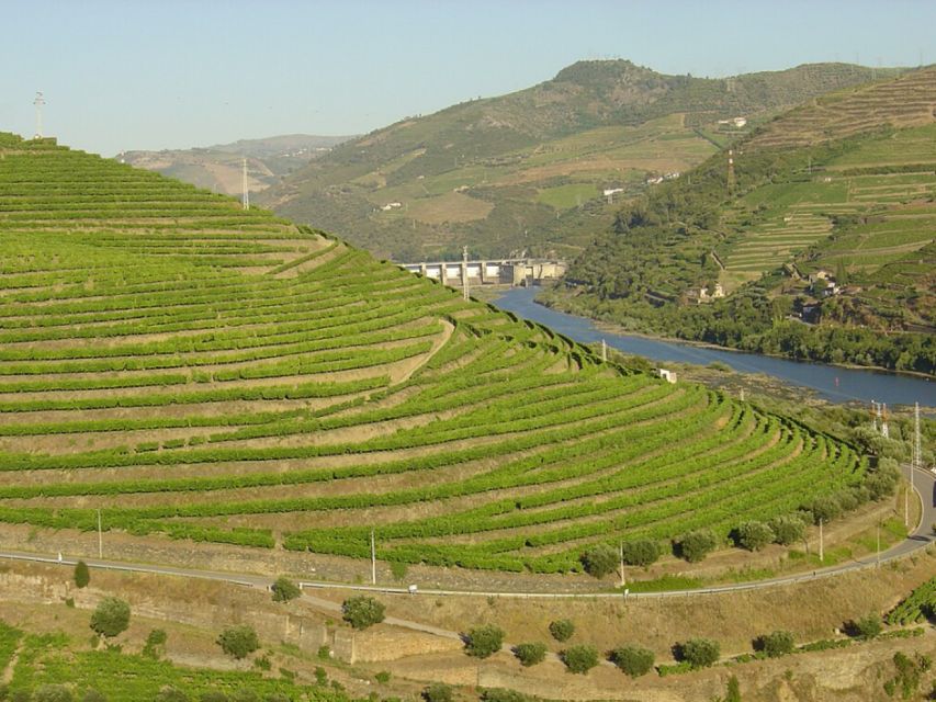 Porto: Private Transfer to Douro Valley - Cancellation and Flexibility