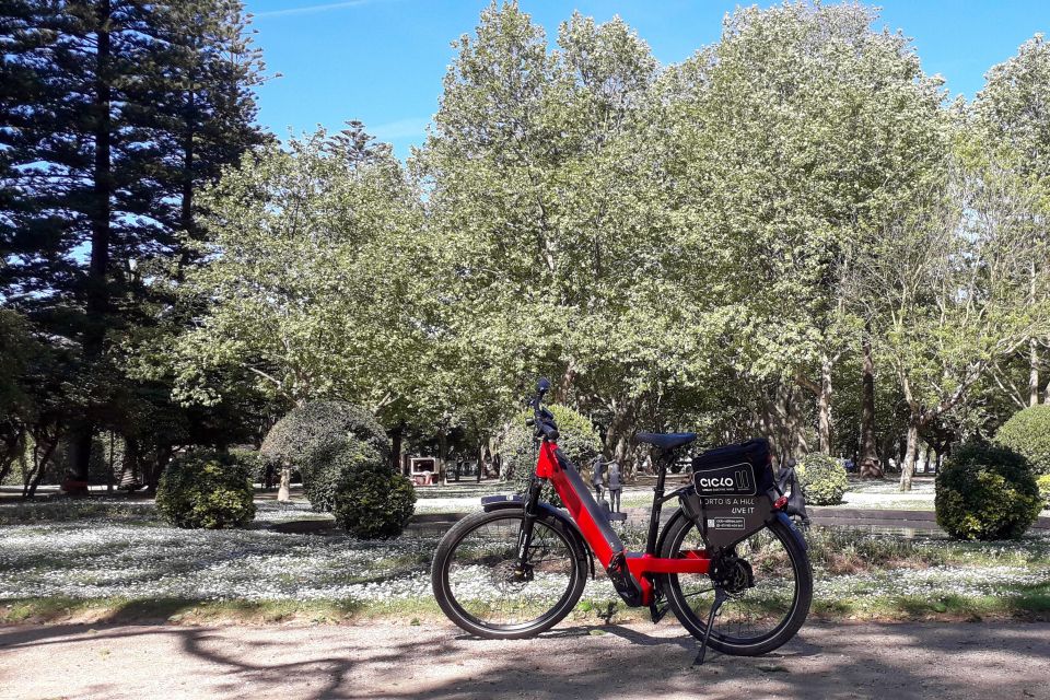 Porto Riverbank Tour on an E-Bike: Atlantic Coast, Gardens - Important Information