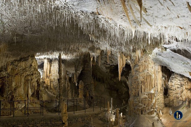 Postojna Cave, Predjama Castle and Piran Tour From Ljubljana - Group Size and Operator