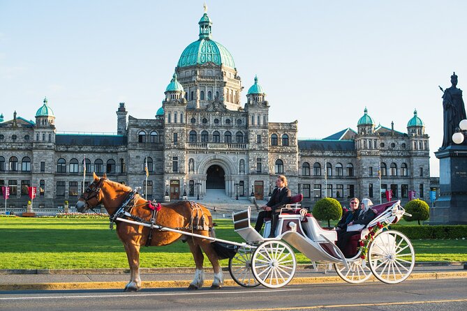 Premier Horse-Drawn Carriage Experience in Victoria - Accessibility and Pet Policy