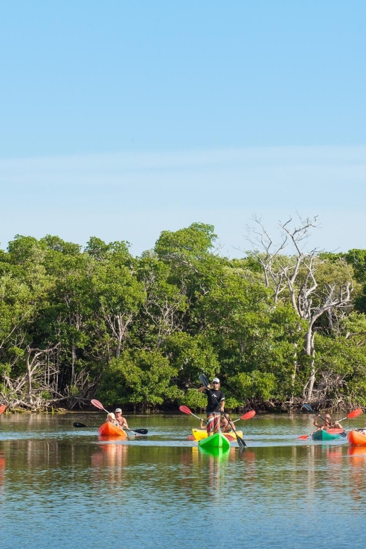 Premium Day Sail, Snorkel &, Kayak With Lunch - What to Bring