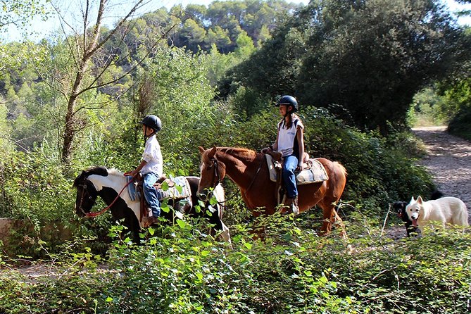 PREMIUM SMALL GROUP: Montserrat Horseback Riding & Monastery - Additional Information