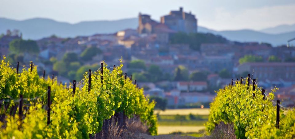 Premium Wine Tour of Rioja With Gourmet Lunch (From Bilbao) - Gourmet Riojano Lunch