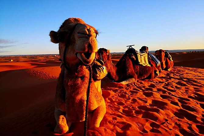 Private 3 Day Luxury Desert Tour From Fez to Marrakech - Tour Itinerary