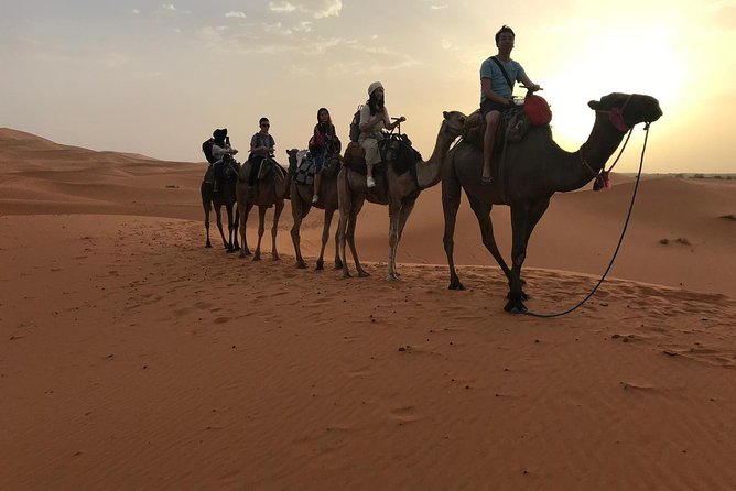 Private 4 Days Desert Tour From Fes to Marrakech - Participant Information