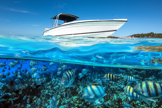 Private 4 Hour Rose Island Charter Snorkeling Turtles & Beaching - Additional Details