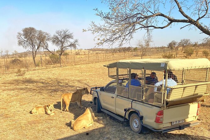 Private 5-Hour Lion Park Tour From Johannesburg or Pretoria - Suitability