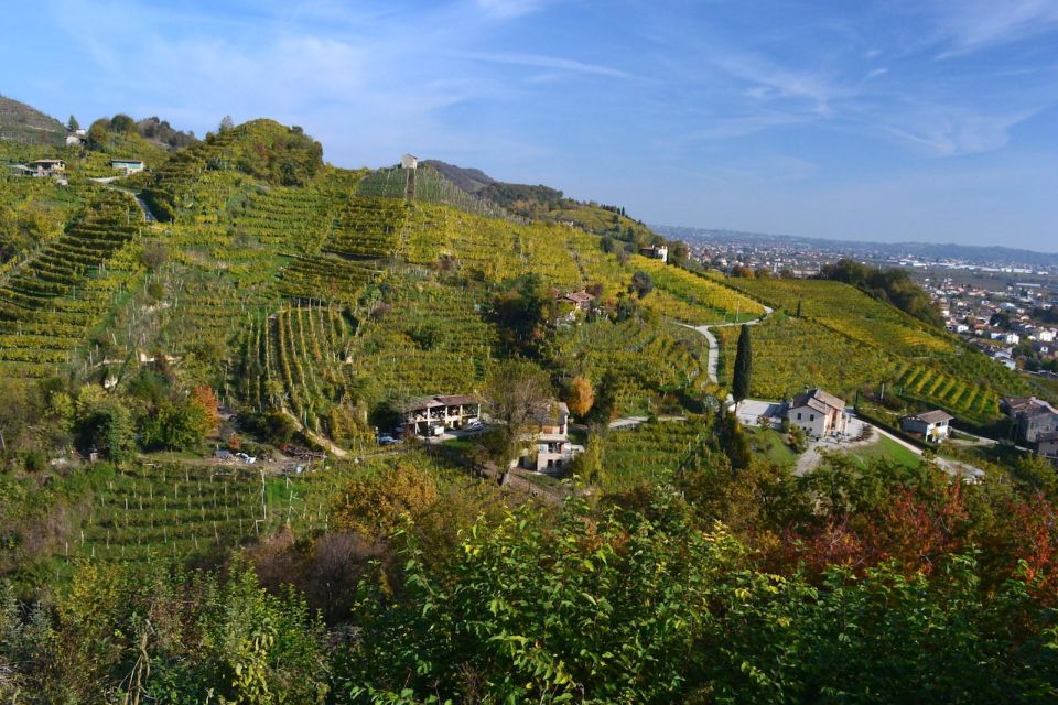 Private 7-Hour Prosecco Wine Tour From Venice - Traditional Light Lunch