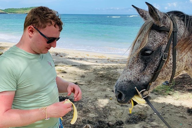 Private Beach Horseback Ride With Sandy Hoofs St. Lucia - Additional Information