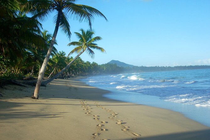 Private Boat Nature Tour of Limón Beach and Lagoon - Booking and Cancellation