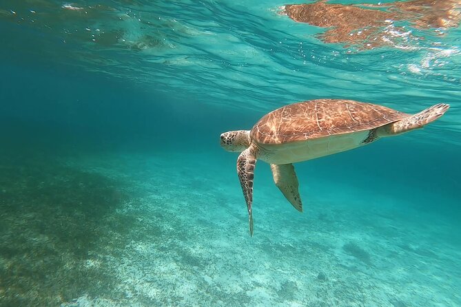 Private Boating Adventure for Snorkeling or Fishing in Nassau - 38FT Boat - Fishing Equipment and Snorkeling Gear Included