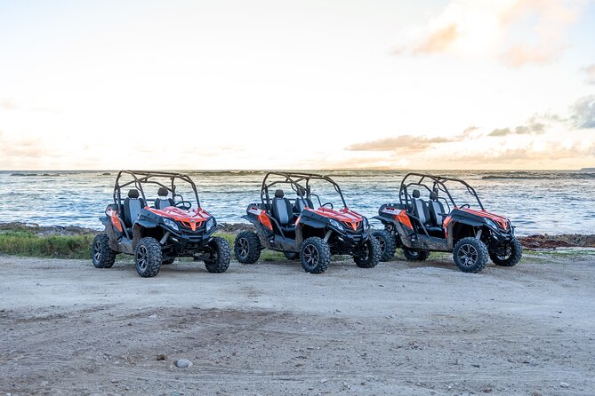 Private Buggy Excursion in Guadeloupe - Reviews & Ratings