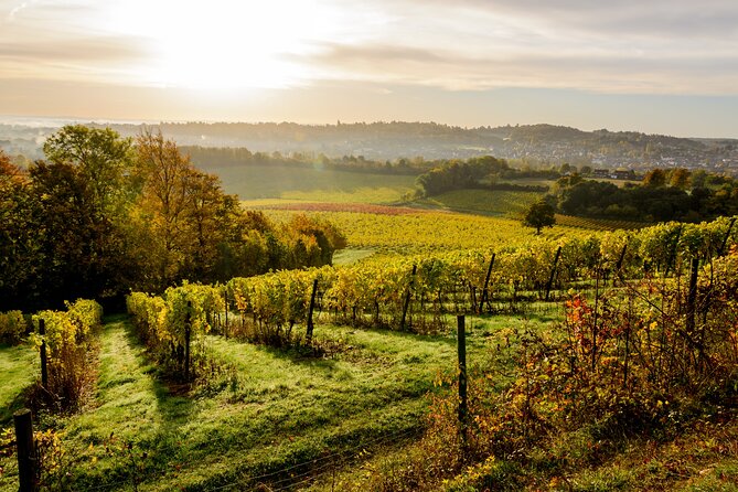 Private Countryside Tour With Wine Tasting In Stunning Surrey - Getting There and Parking