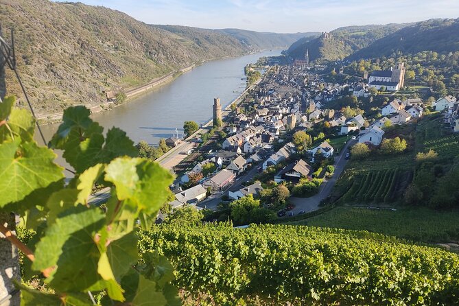 Private Day Trip to the Romantic Rhine Valley With River Cruise and Wine Tasting - Professional Guide and Transportation