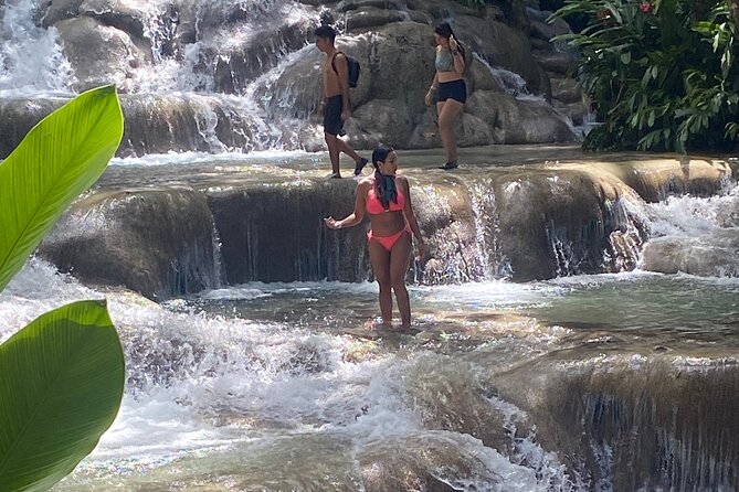 Private Dunns River Falls and Horse Back Riding - Tour Location