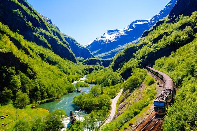 Private Guided Tour - Premium Nærøyfjord Cruise and Flåm Railway - Cancellation Policy