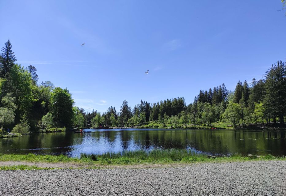 Private Hiking Tour Bergen Mountains Like a Local - Traversing Puddles and Climbs