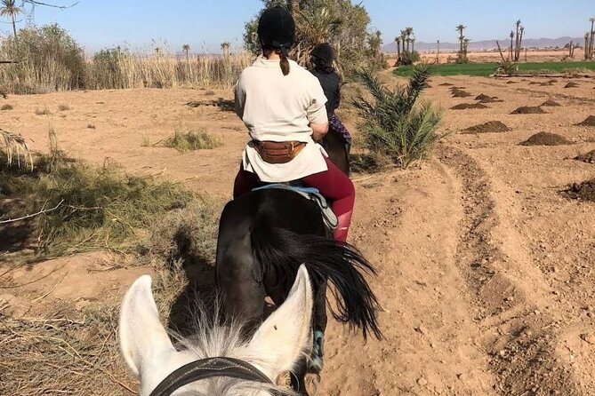 Private Horseback Ride in the Palmeraie of Marrakech - Transportation