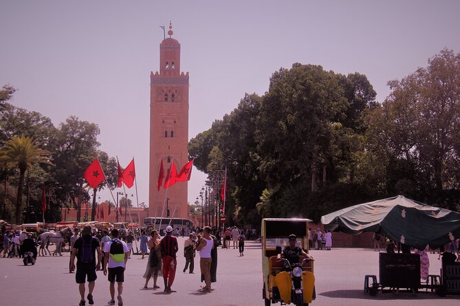 Private Marrakech Cultural and Artisanal Half-Day Tour - Admire the Majorelle Gardens Beauty