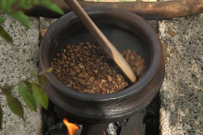 Private Meru Coffee Tour in Nkoaranga - Freshly Brewed Coffee Delight