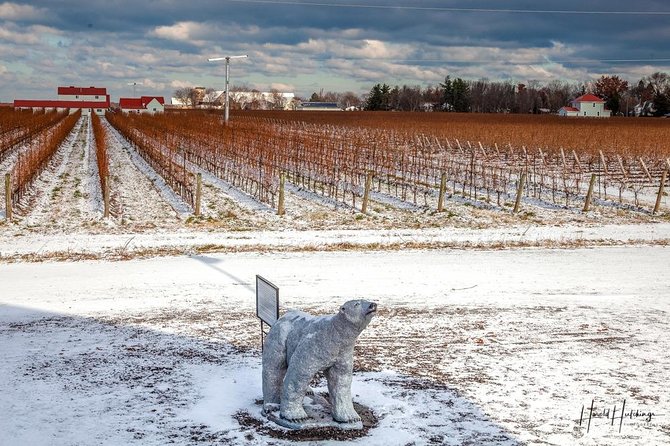 Private Niagara Ice Wine Tour - Private Transportation