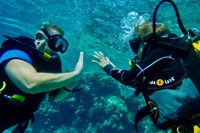 Private Scuba Diving Tour With Transportation and Guide - Participant Guidelines