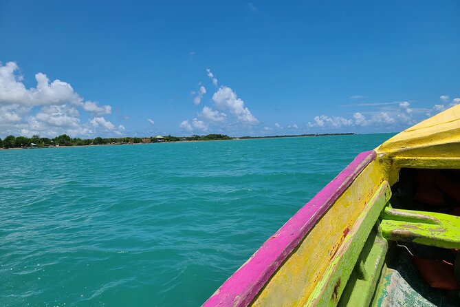 Private Seafood Tour and Floyds Pelican Bar or Black River Safari - Tour Duration and Start Time