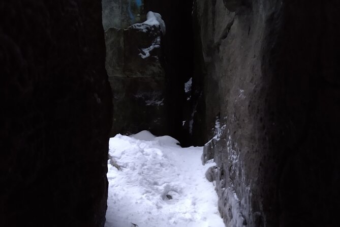 Private Singhampton Caves Snowshoe Tour Collingwood/Blue Mtn - Suitability and Accessibility