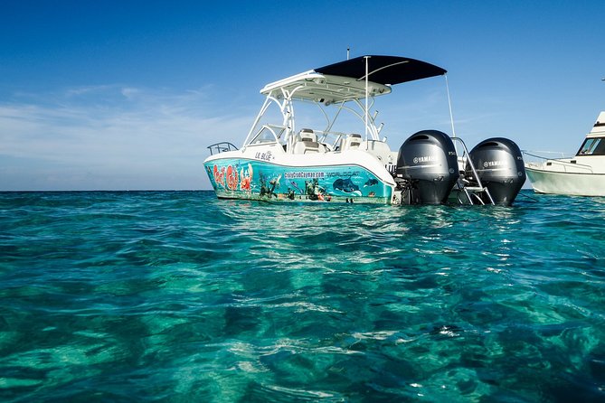 Private Stingray City Snorkeling and BioBay Charter for 10 Guests - Boat Captain and Guide