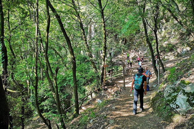 Private Tour: Amalfi Valle Delle Ferriere Nature Reserve Walking Tour - Traversing the Forest and Stream