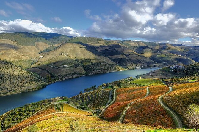 Private Tour in Douro - Booking Information