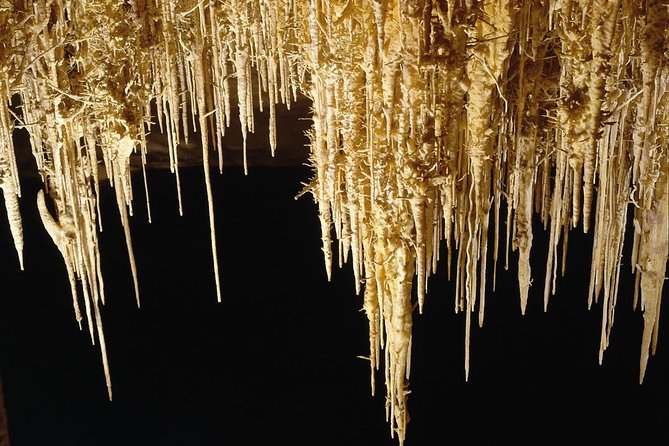 Private Tour: Mallorca Caves of Drach and Majorica Pearl Factory - Descending Into Darkened Depths