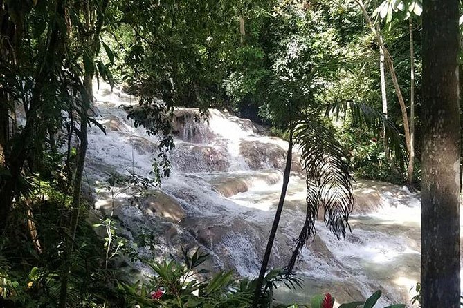 Private Tour Montego Bay to Blue Hole and Dunns River Falls - Accessibility Information