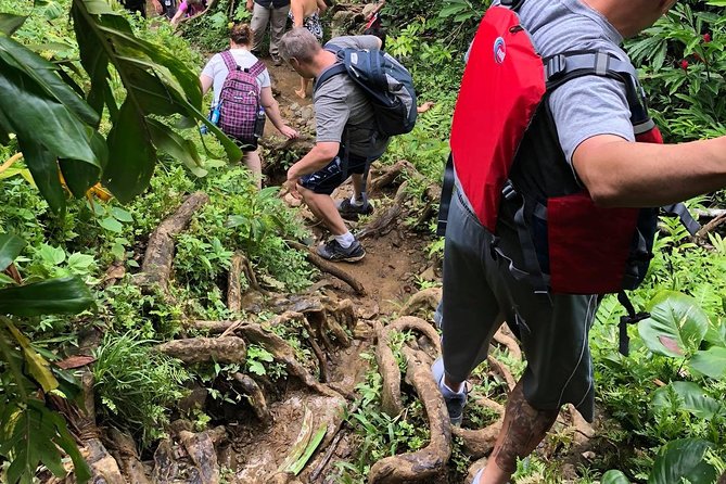 Private Tour of El Yunque Rainforest From San Juan - Pickup and Transportation