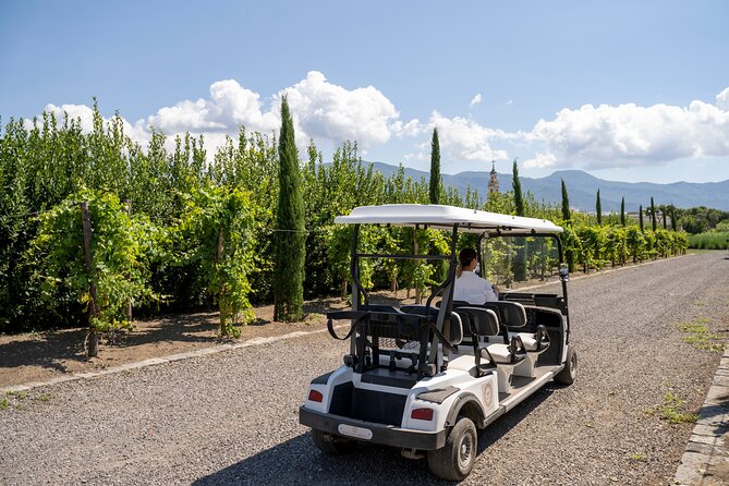 Private Tour of Pompeii Ruins, Organic Wine Tasting and Lunch - Organic Winery Visit