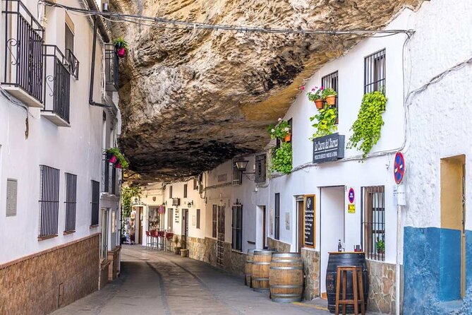 Private Tour of Ronda and Setenil De Las Bodegas - Amenities and Inclusions