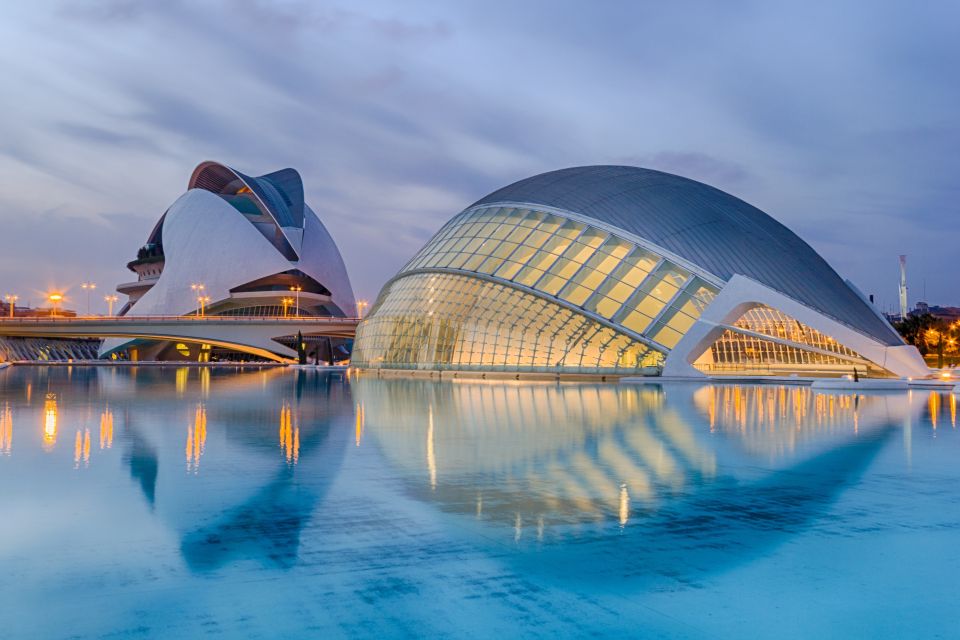 Private Tour of Valencia - Basilica and Cathedral