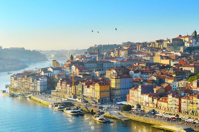 Private Tour to Porto From Lisbon Full Day - Visiting Iconic Landmarks