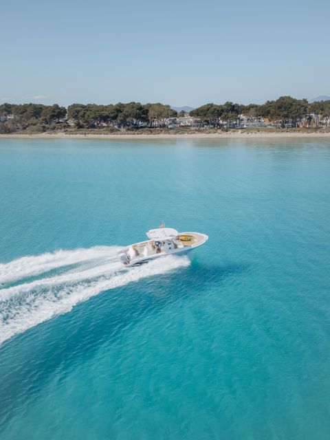 Pronautica Boat With a Skipper and Fuel for a 2-Hour Sunset Tour in Alcanada - What to Expect