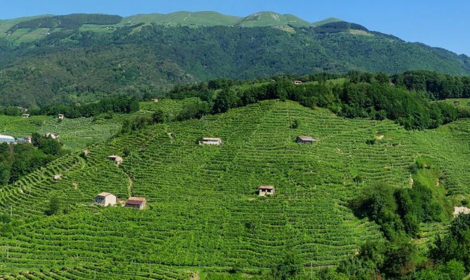 Prosecco Road: Full Day Tour and Wine Tasting - Lunch With a View