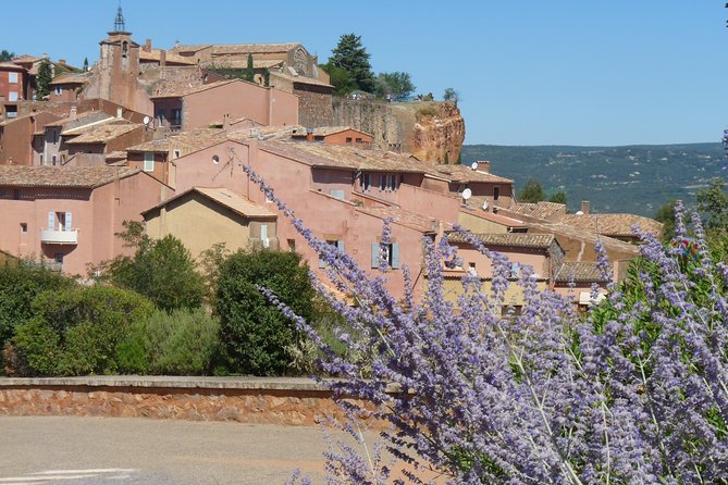 Provence Lavender Full Day Tour From Avignon - Traditional Open-Air Market Exploration