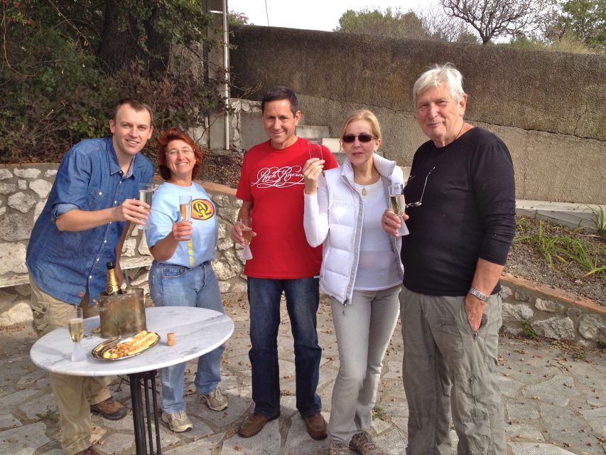 Provence Olive Harvest - Learning Olive Tree Production