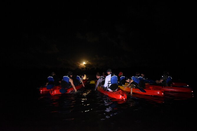 Puerto Rico Sunset Magic: Bio Bay Kayaking Tour From Fajardo - Transportation and Costs