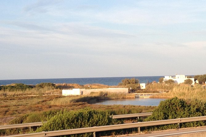 Puglia Bike Tour: Cycling Through the History of Extra Virgin Olive Oil - Tour Scheduling and Availability