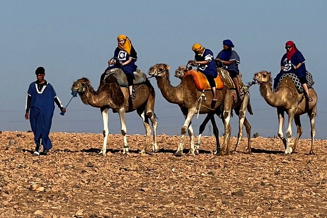 Quad and Camel Ride in La Palmeraie of Marrakech - Camel Ride Experience