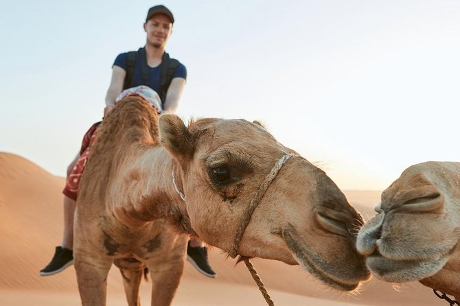 Red Dune Desert Safari With Private Beach & Pool Access - Camel Rides and Photo Stops