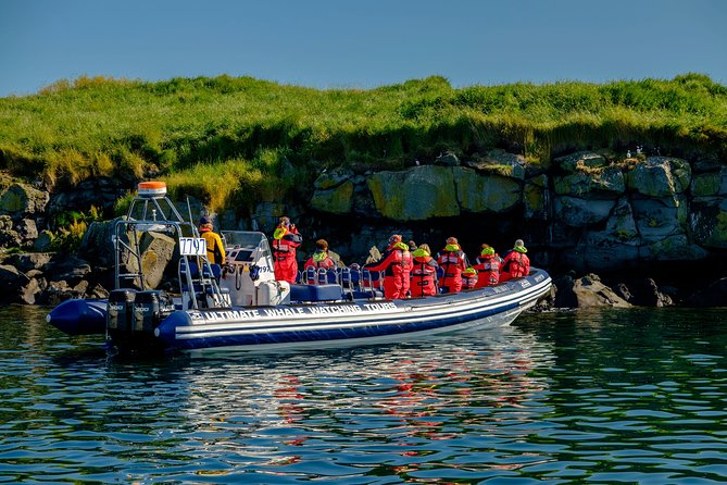 Reykjavik Premium Puffin Tour | Close up and Personal - Puffin Viewing Experience